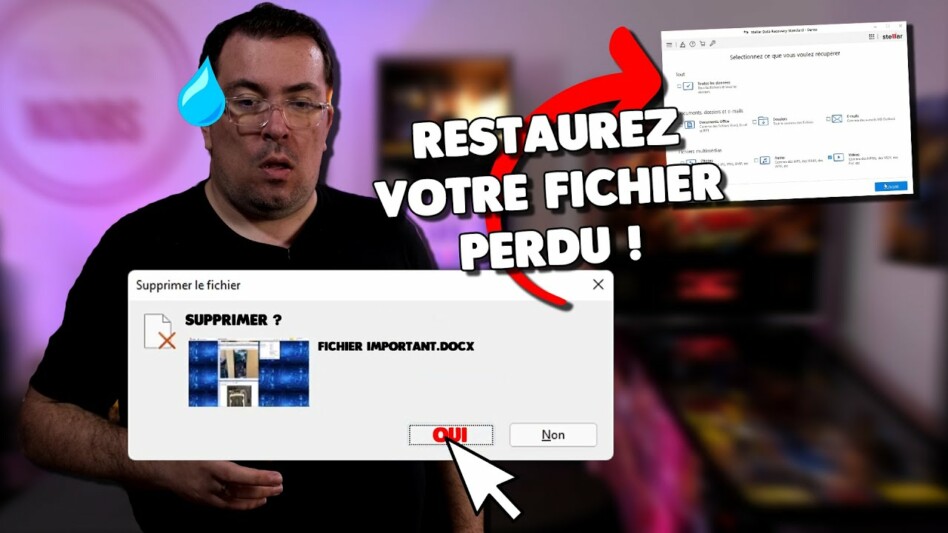 COMMENT RESTAURER VOS FICHIERS PERDUS GRATUITEMENT & FACILEMENT ? Jusqu’à 1Go Stellar Data Recovery